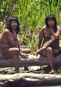 Amazonian Tribe Losing Land Resort To Raids On Villagers